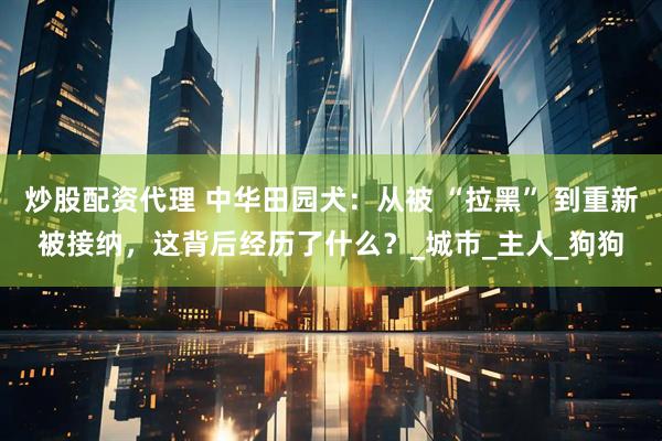 炒股配资代理 中华田园犬：从被 “拉黑” 到重新被接纳，这背后经历了什么？_城市_主人_狗狗