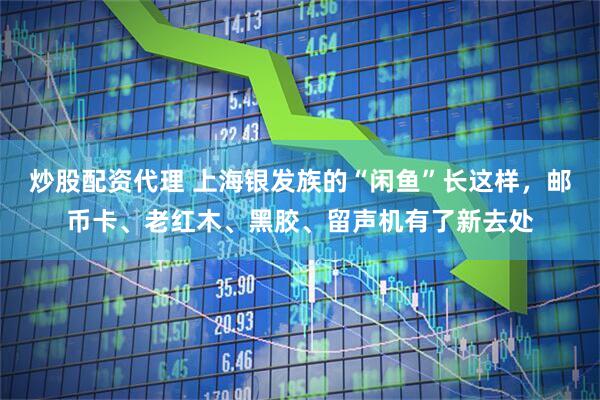 炒股配资代理 上海银发族的“闲鱼”长这样，邮币卡、老红木、黑胶、留声机有了新去处