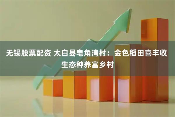 无锡股票配资 太白县皂角湾村：金色稻田喜丰收 生态种养富乡村